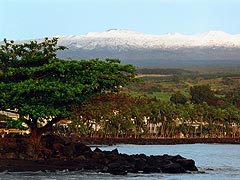 Hilo Snow - photo by Mic Ward